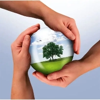 ecologique